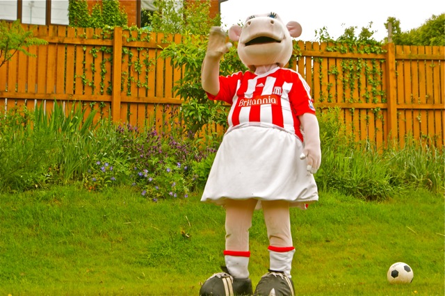 Image to show the Stoke City FC mascot.